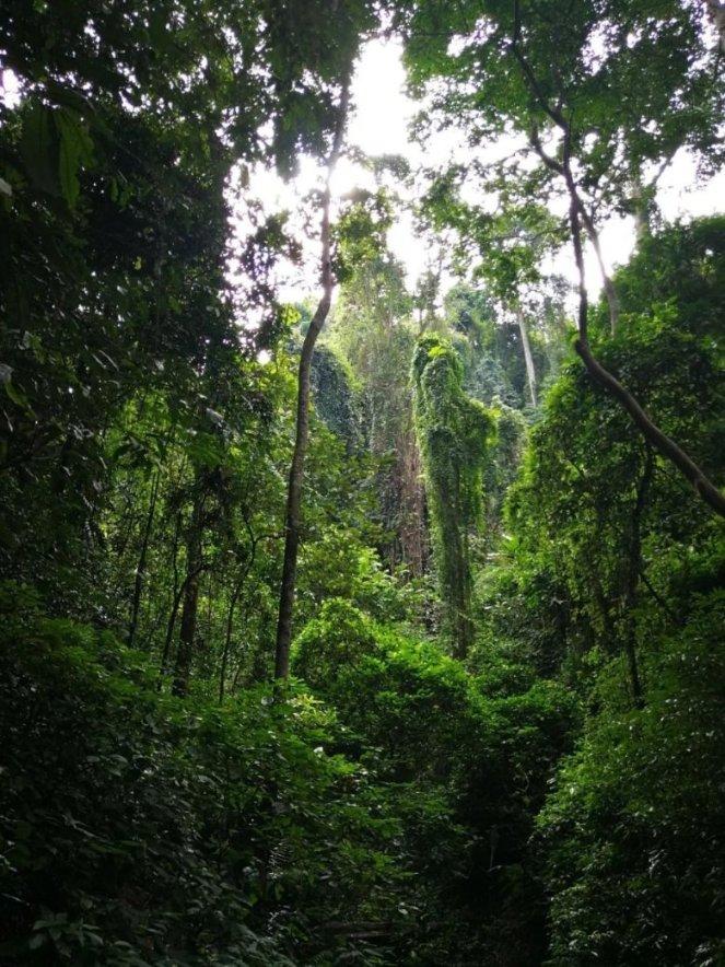 缤纷水果茶无敌版